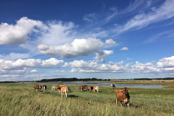 Foto van Familieverblijf aan het strand - Vakantiehuis in Assens - Untagged