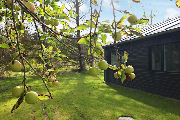Foto van 6 persoons vakantie huis in Hjørring-By Traum - Vakantiehuis in Hjørring - View