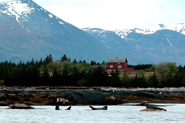 Foto van 11 persoons vakantie huis in Fjørtoft-By Traum - Vakantiehuis in Fjørtoft - Untagged
