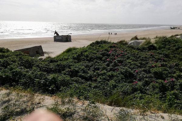 Foto van Luxe spa-retraite in Blavand - Vakantiehuis in Blåvand - WaterView