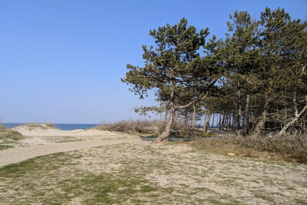 Foto van 6 persoons vakantie huis in Dronningmølle-By Traum - Untagged