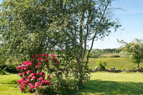 Foto van 6 persoons vakantie huis in Humble-By Traum - Vakantiehuis in Humble - Untagged