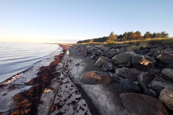 Foto van Vakantieverblijf aan zee in Lolland - Vakantiehuis in Dannemare - WaterView
