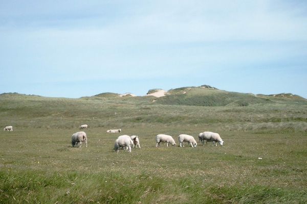 Foto van 6 persoons vakantie huis in Løkken-By Traum - Vakantiehuis in Løkken - View