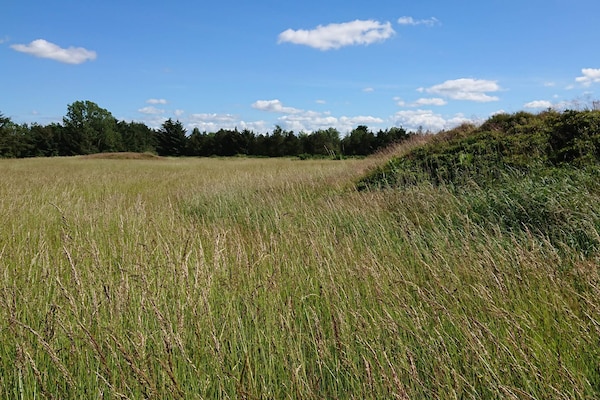 Foto van 6 persoons vakantie huis in Højslev-By Traum - Vakantiehuis in Højslev - Untagged