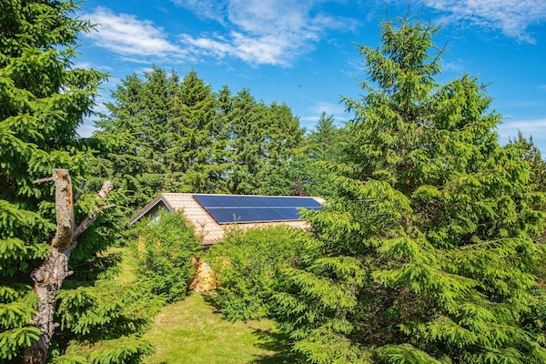 Foto van 6 persoons vakantie huis in Højslev-By Traum - Vakantiehuis in Højslev - Outdoor
