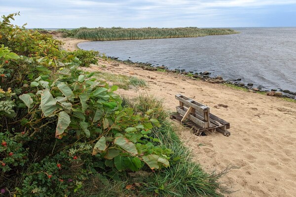 Foto van Luxe spa-retraite van Skaven - Vakantiehuis in Tarm - WaterView