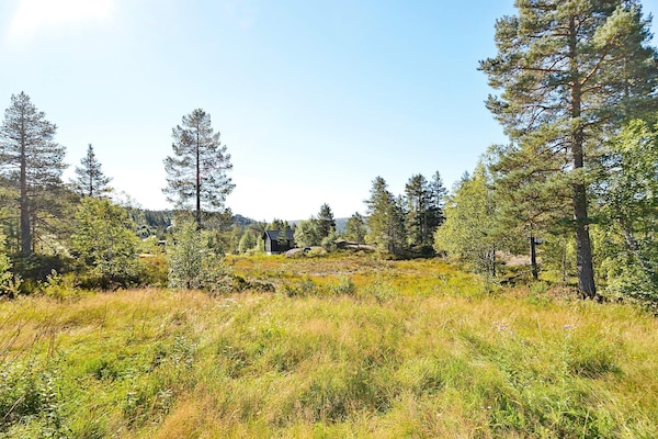 Foto van 6 persoons vakantie huis in ÅSERAL-By Traum - Vakantiehuis in Åseral - View