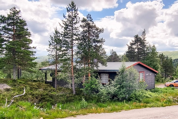 Foto van 6 persoons vakantie huis in ÅSERAL-By Traum - Vakantiehuis in Åseral - Outdoor