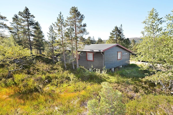 Foto van 6 persoons vakantie huis in ÅSERAL-By Traum - Vakantiehuis in Åseral - Outdoor