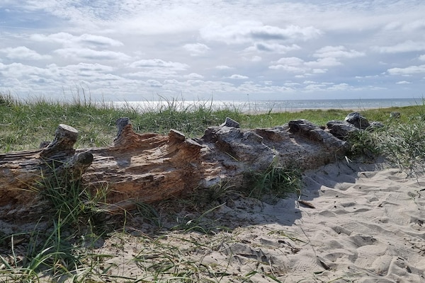 Foto van 8 persoons vakantie huis in Blåvand - Vakantiehuis in Blåvand - Untagged