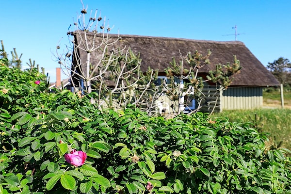 Foto van 6 persoons vakantie huis in Hvide Sande-By Traum - Vakantiehuis in Hvide Sande - View