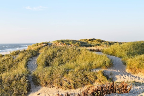 Foto van 6 persoons vakantie huis in Hvide Sande-By Traum - Vakantiehuis in Hvide Sande - View