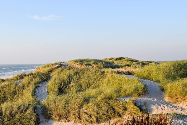 Foto van 6 persoons vakantie huis in Hvide Sande-By Traum - Vakantiehuis in Hvide Sande - View