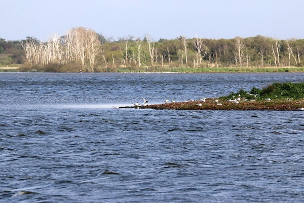 Foto van 7 persoons vakantie huis in Henne-By Traum - Vakantiehuis in Henne - WaterView