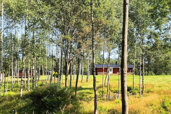 Foto van 8 persoons vakantie huis in DALS-LÅNGED-By Traum - Vakantiehuis in DALS-LÅNGED - Outdoor