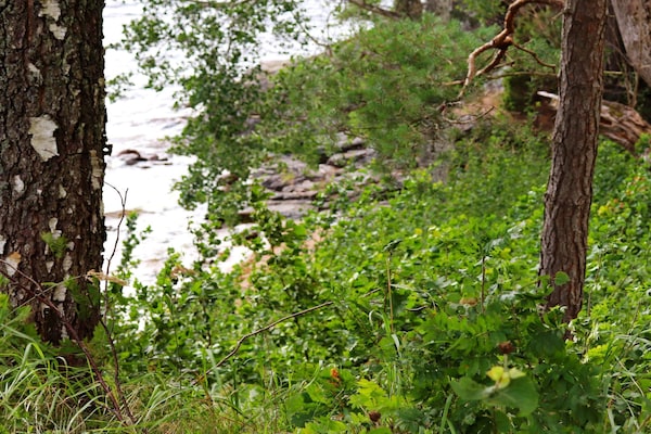 Foto van 8 persoons vakantie huis in DALS-LÅNGED-By Traum - Vakantiehuis in DALS-LÅNGED - WaterView