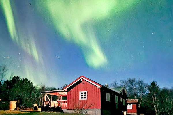 Foto van 6 persoons vakantie huis in Storfosna-By Traum - Vakantiehuis in Storfosna - Outdoor