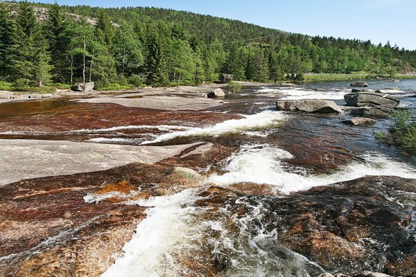 Foto van 6 persoons vakantie huis in ÅSERAL-By Traum - Vakantiehuis in Åseral - View