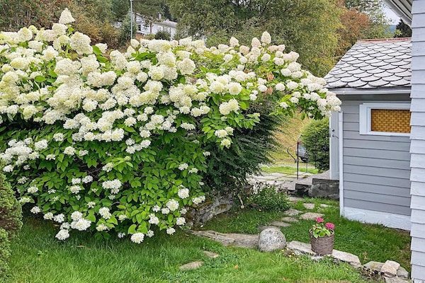Foto van 6 persoons vakantie huis in Utvik - Vakantiehuis in Utvik - Outdoor