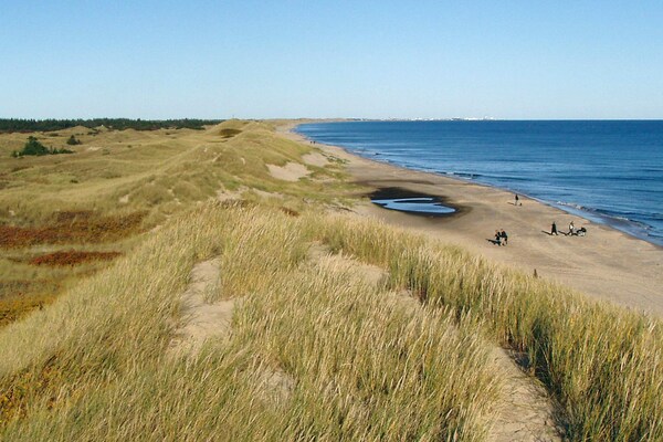 Foto van 8 persoons vakantie huis in Ålbæk-By Traum - Vakantiehuis in Ålbæk - View