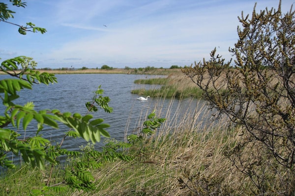 Foto van 7 persoons vakantie huis in Stege-By Traum - Vakantiehuis in Stege - WaterView