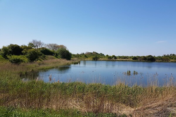 Foto van 7 persoons vakantie huis in Stege-By Traum - Vakantiehuis in Stege - WaterView