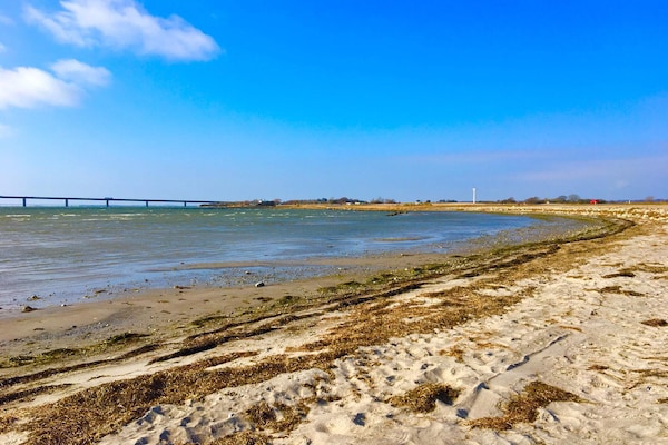 Foto van 6 persoons vakantie huis in Bogø By - Vakantiehuis in Bogø By - WaterView