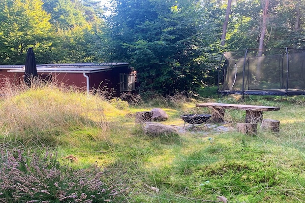 Foto van Gezellig strandhuis in Rageleje - Vakantiehuis in Vejby - Outdoor