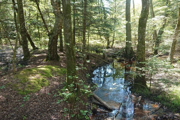 Foto van Familievakantie in Lodskovvad - Vakantiehuis in Ålbæk - WaterView