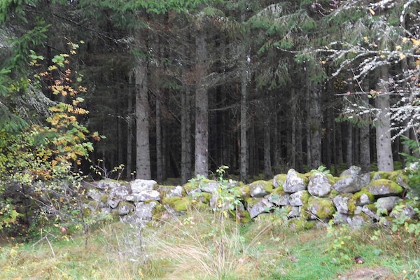 Foto van 6 persoons vakantie huis in Osby-By Traum - Vakantiehuis in Osby - View