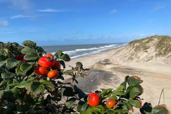 Foto van 6 persoons vakantie huis in Ringkøbing-By Traum - Vakantiehuis in Ringkøbing - WaterView