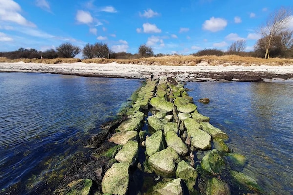 Foto van Luxe vakantieverblijf met zwembad - Vakantiehuis in Idestrup - WaterView