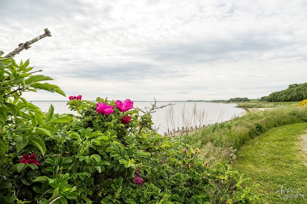 Foto van Rustieke kustretreat -- By Traum Ferienwohnungen - Vakantiehuis in Roslev - WaterView