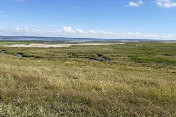 Foto van 18 persoons vakantie huis in Rømø-By Traum - Vakantiehuis in Rømø - Untagged