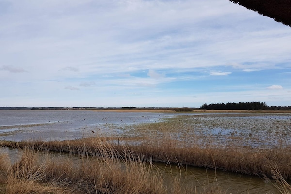 Foto van 7 persoons vakantie huis in Frøstrup - Vakantiehuis in Frøstrup - WaterView