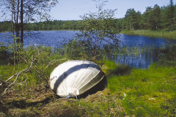 Foto van 6 persoons vakantie huis in ÖSTMARK-By Traum - Vakantiehuis in ÖSTMARK - View