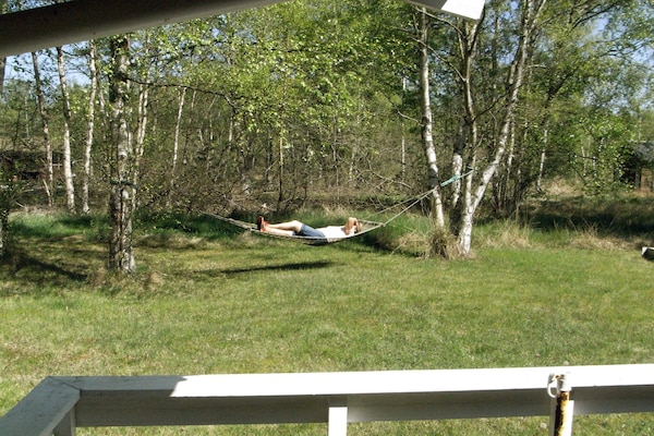 Foto van 6 persoons vakantie huis in Læsø-By Traum - Vakantiehuis in Læsø - Untagged