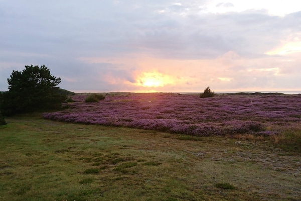 Foto van 6 persoons vakantie huis in Læsø-By Traum - Vakantiehuis in Læsø - Untagged