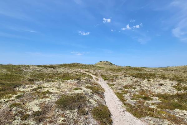 Foto van 7 persoons vakantie huis in Thisted-By Traum - Vakantiehuis in Thisted - Untagged