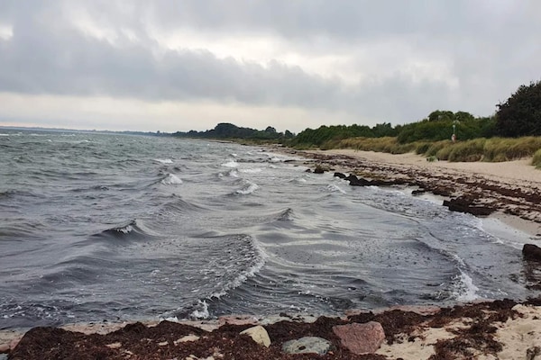 Foto van 14 persoons vakantie huis in Idestrup-By Traum - Vakantiehuis in Idestrup - WaterView