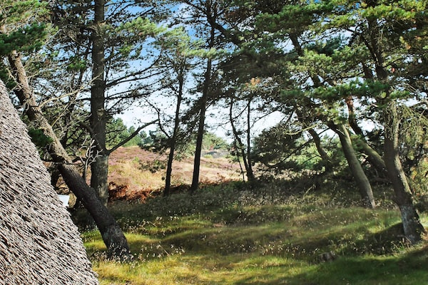 Foto van 6 persoons vakantie huis in Rømø-By Traum - Vakantiehuis in Rømø - Untagged