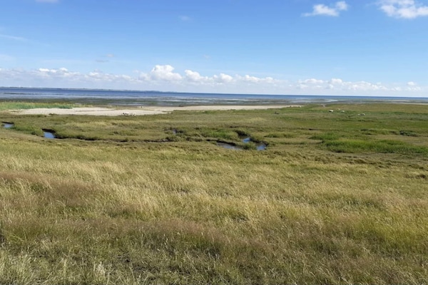 Foto van 6 persoons vakantie huis in Rømø-By Traum - Vakantiehuis in Rømø - Untagged