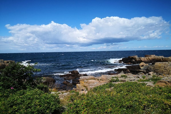 Foto van Idyllisch huisje in Allinge - Vakantiehuis in Allinge - WaterView