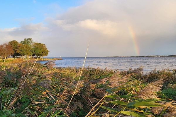 Foto van 12 persoons vakantie huis in Storvorde-By Traum - Vakantiehuis in Storvorde - WaterView