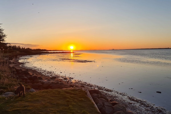 Foto van 12 persoons vakantie huis in Storvorde-By Traum - Vakantiehuis in Storvorde - WaterView
