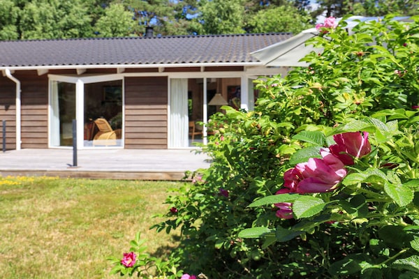 Foto van 6 persoons vakantie huis in Læsø-By Traum - Vakantiehuis in Læsø - View