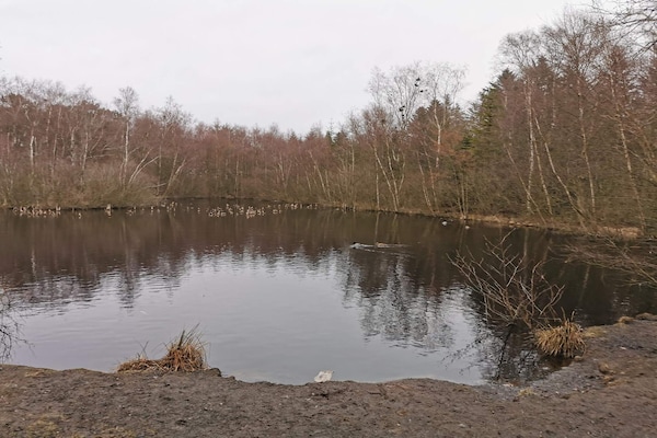 Foto van 8 persoons vakantie huis in Ålbæk-By Traum - Vakantiehuis in Ålbæk - WaterView