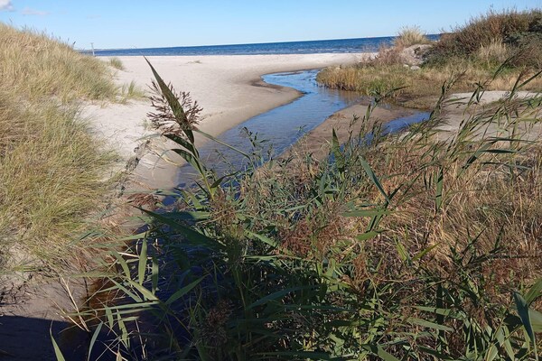 Foto van 8 persoons vakantie huis in Ålbæk-By Traum - Vakantiehuis in Ålbæk - WaterView