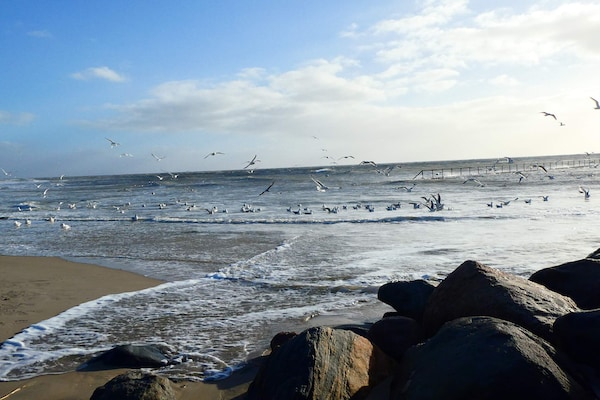 Foto van Oase aan zee in Blavand - Vakantiehuis in Blåvand - WaterView